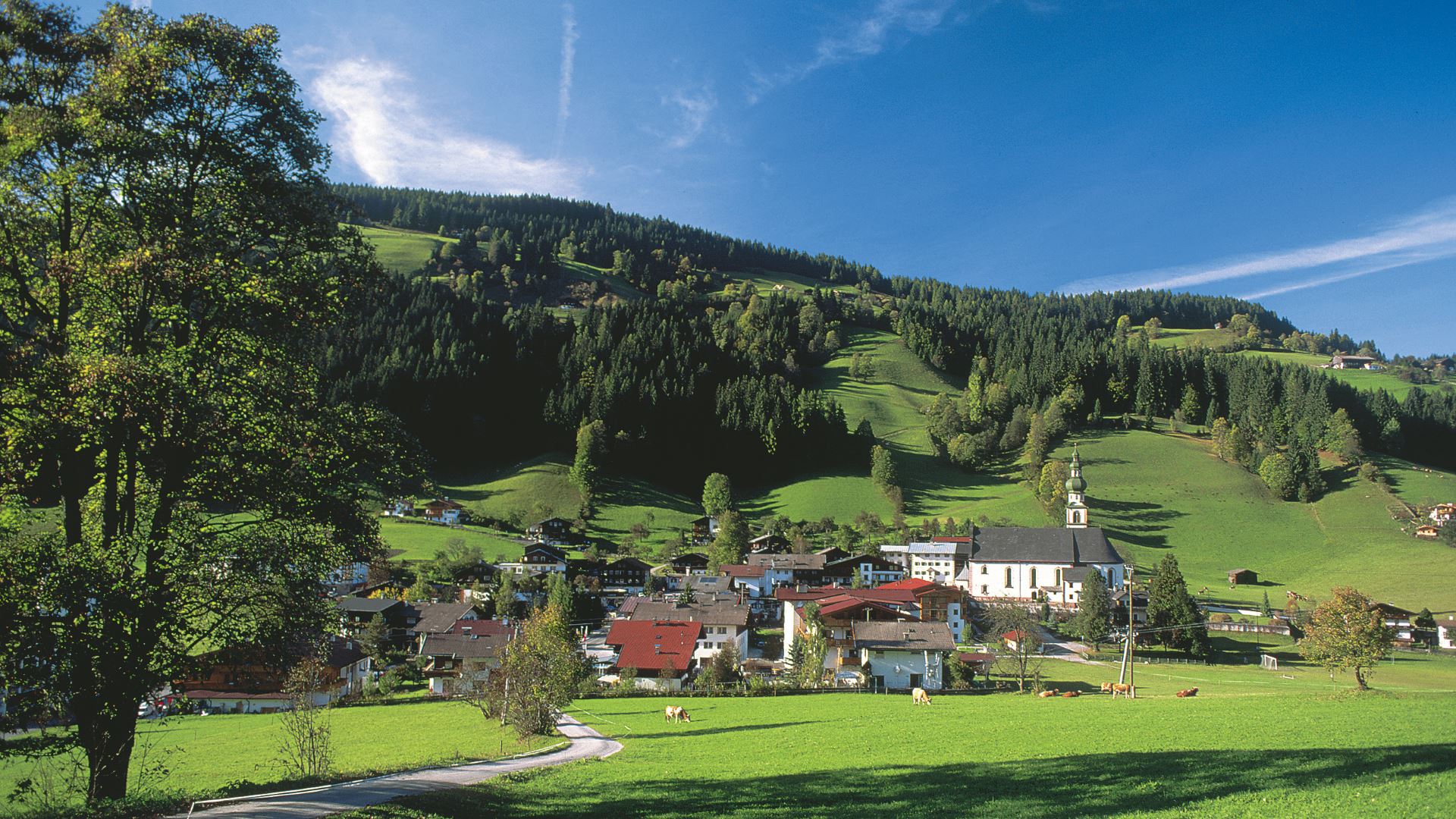 Wildschönau im Sommer