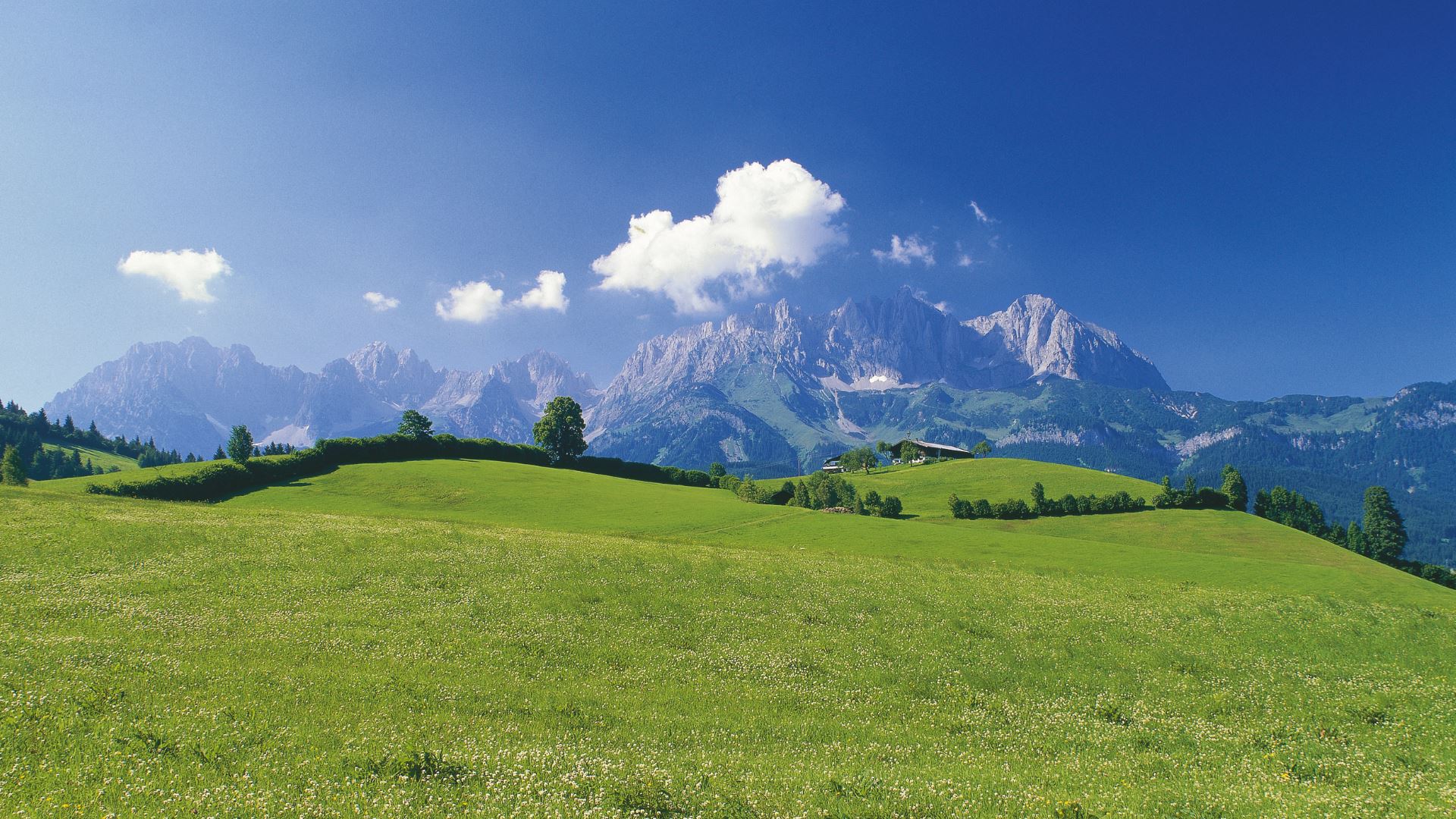 Going am Wilden Kaiser im Sommer