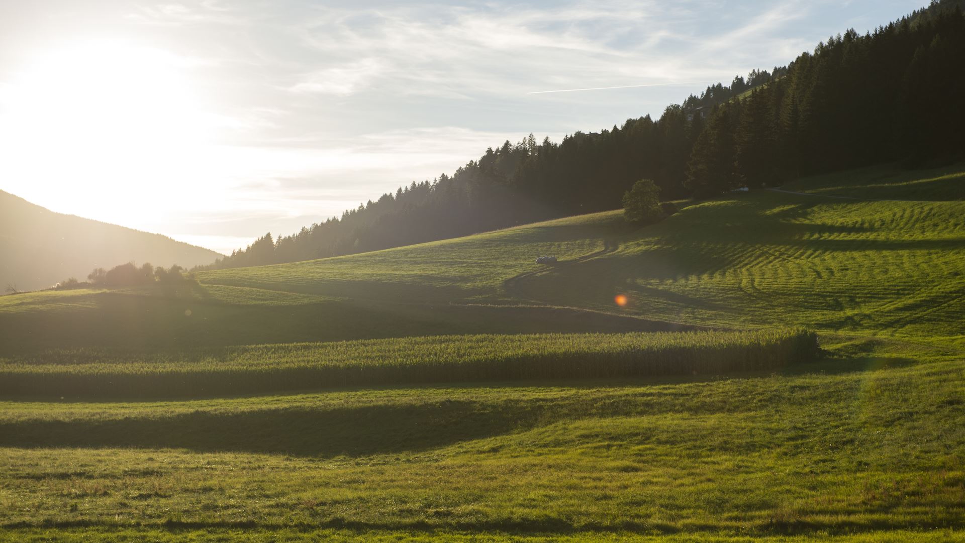 Seite 6 - Hotels und Ferienwohnungen in Niederdorf - Südtirol | Tirol.ch