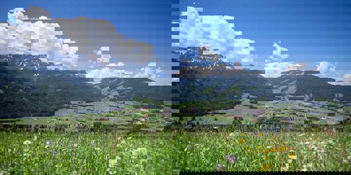 Sicht auf Olang im Sommer