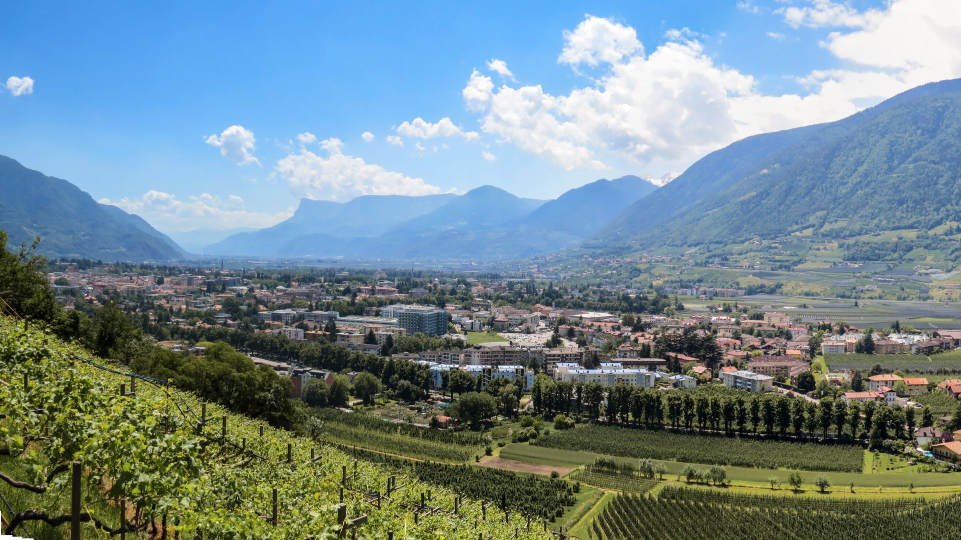 Meran und Umgebung im Sommer.
