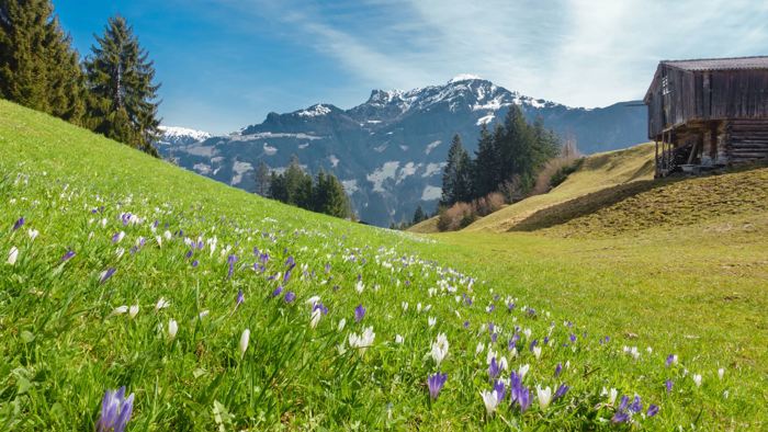 Nordtirol im April