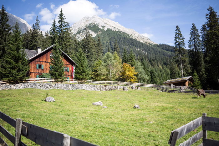 Almwanderungen in Seefeld Almwanderungen in Seefeld