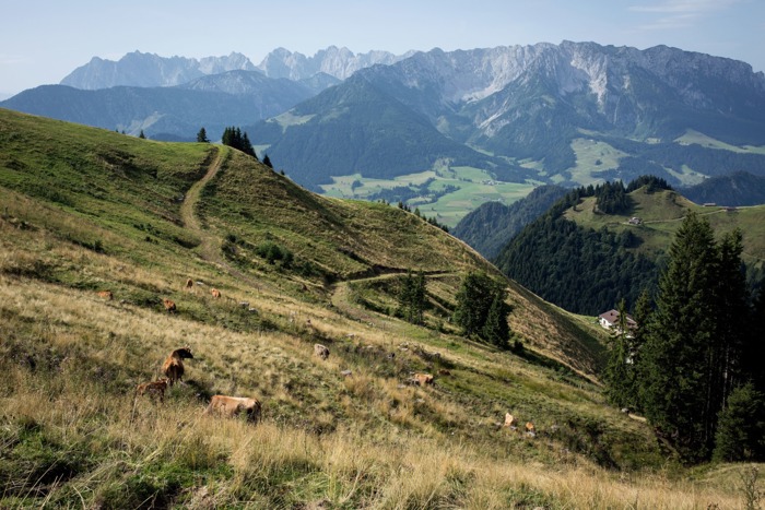 Wanderurlaub im Kaiserwinkl