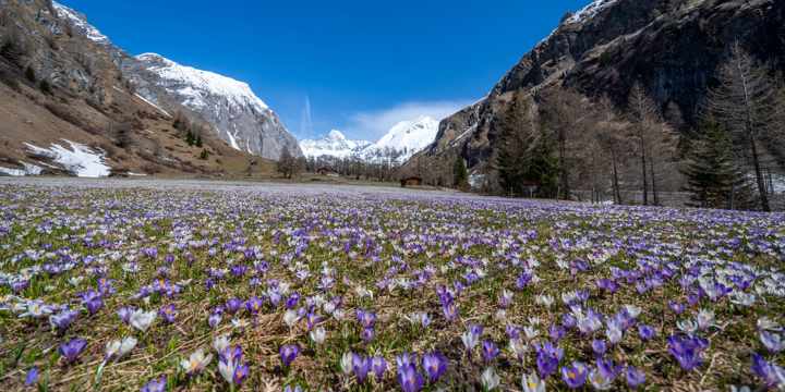 Lucknerhaus - Osttirol