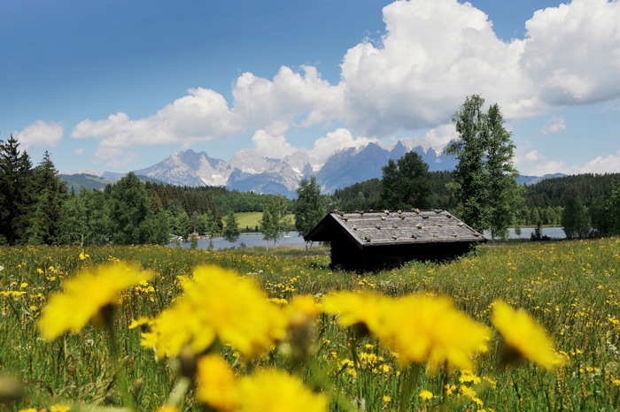 Wanderurlaub in Kitzbühel