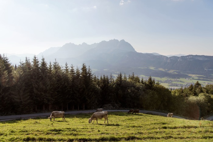 Sommerurlaub in den Kitzbüheler Alpen
