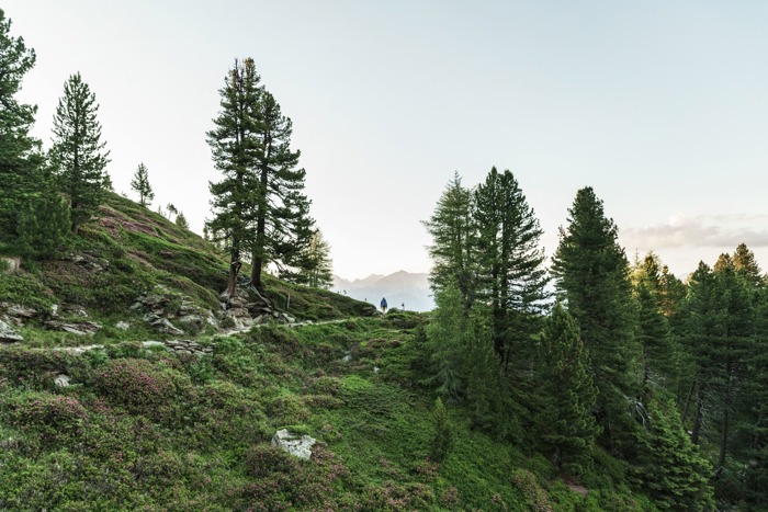 Wanderurlaub in Hall-Wattens